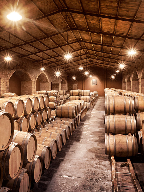 Finca Flichman 4