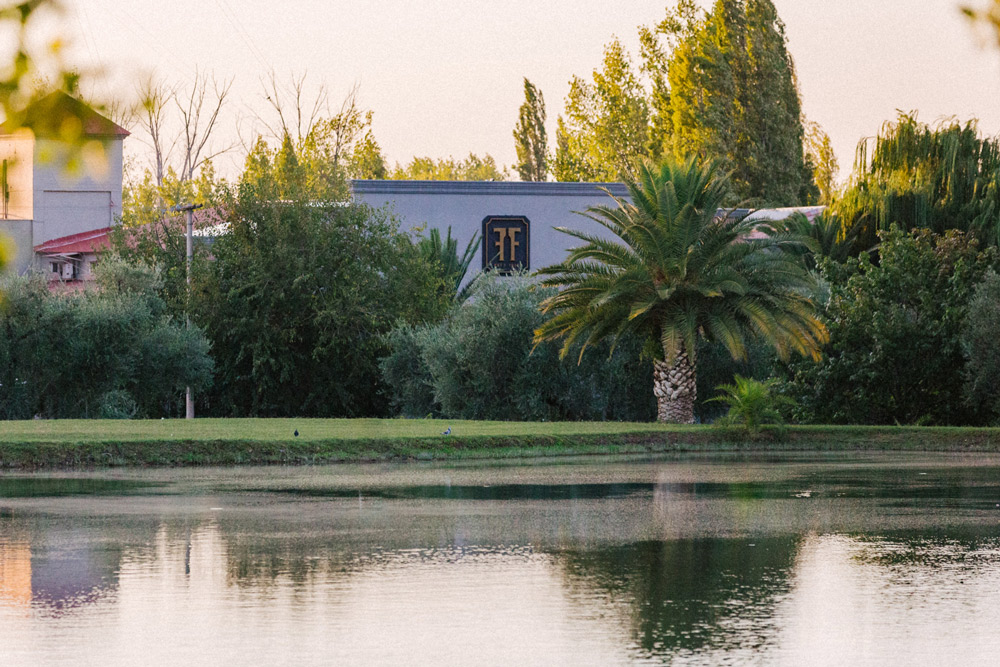 Finca Flichman 6