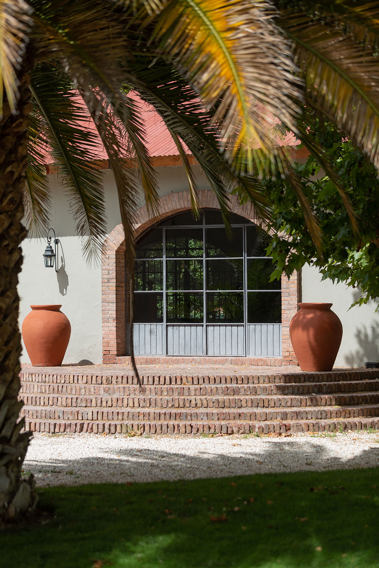 Viñedos de Finca Flichman